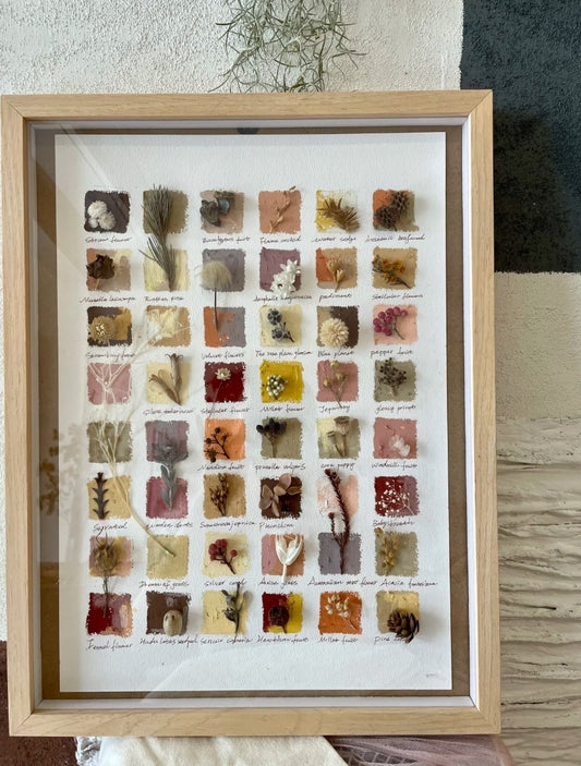 Original Botanical Dried Flower Frame Drawing with Oil Pastel - My Store