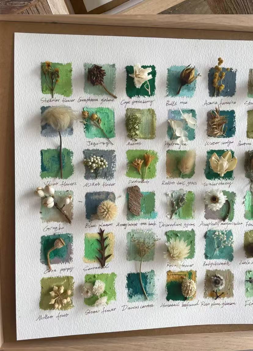 Original Botanical Dried Flower Frame Drawing with Oil Pastel - My Store