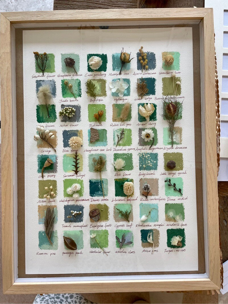 Original Botanical Dried Flower Frame Drawing with Oil Pastel - My Store