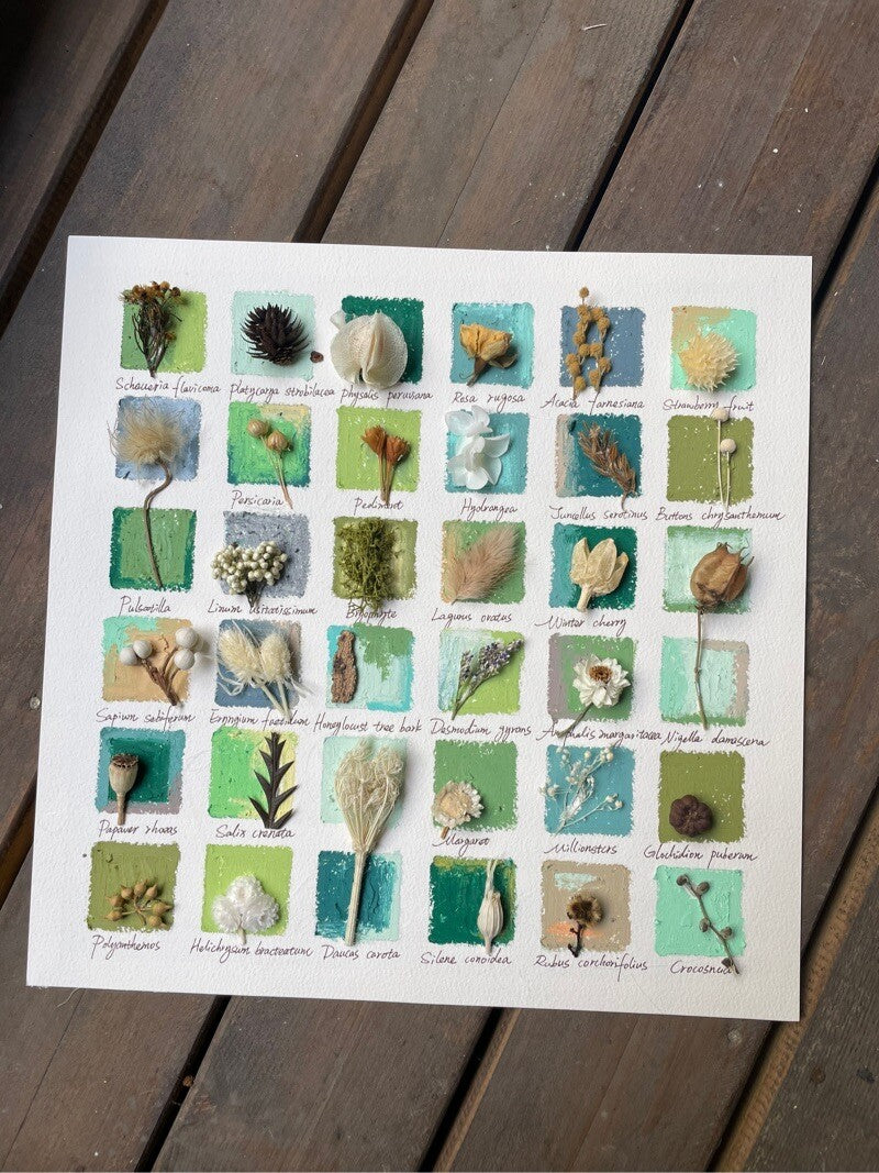 Original Botanical Dried Flower Frame Drawing with Oil Pastel - My Store