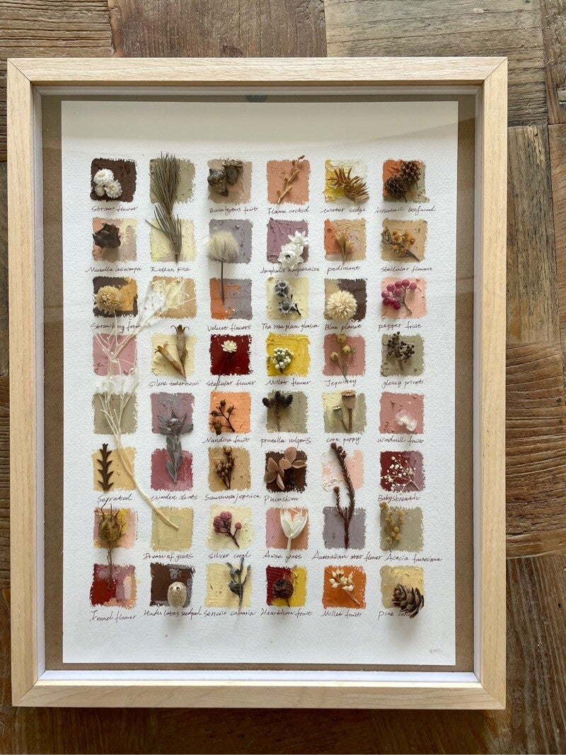 Original Botanical Dried Flower Frame Drawing with Oil Pastel - My Store