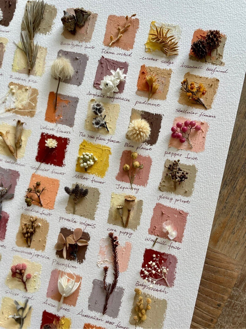 Original Botanical Dried Flower Frame Drawing with Oil Pastel - My Store