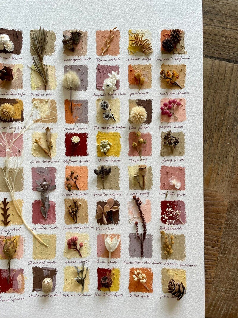 Original Botanical Dried Flower Frame Drawing with Oil Pastel - My Store