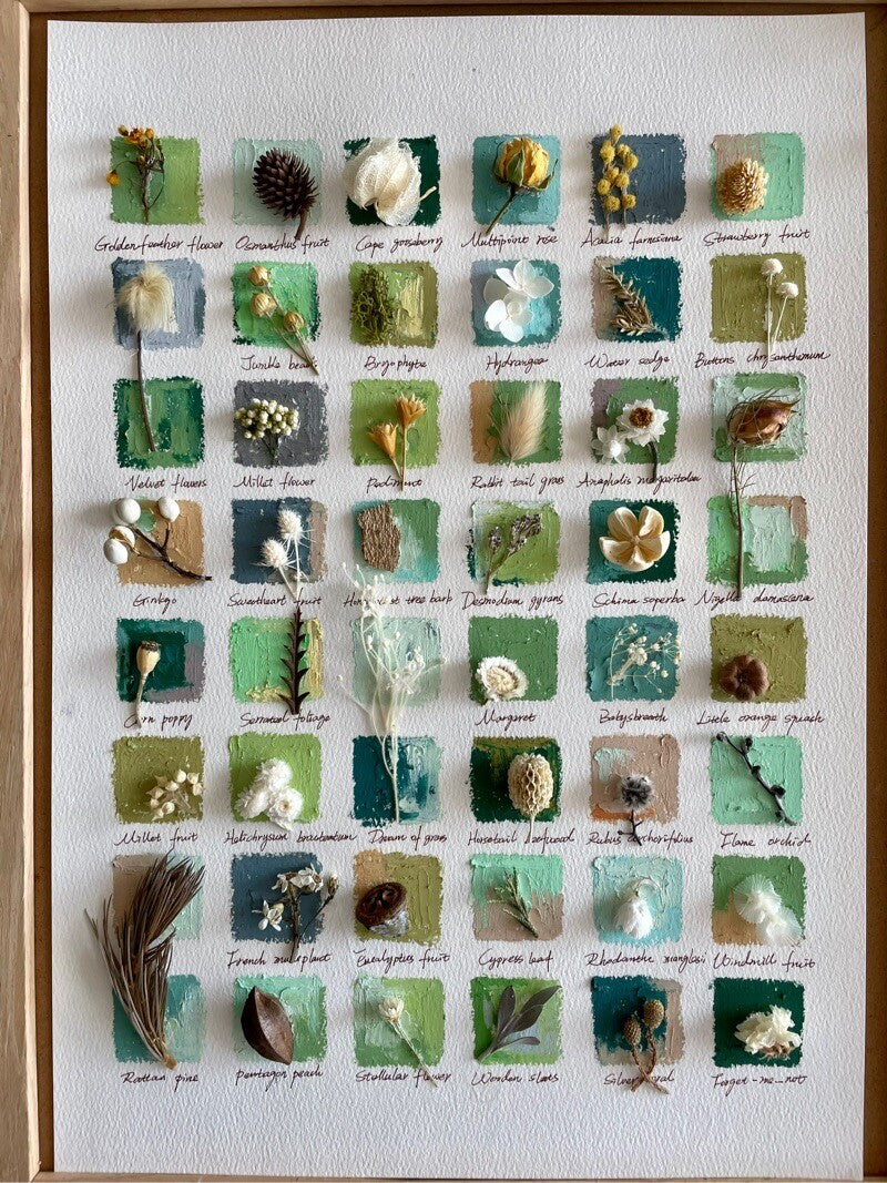 Original Botanical Dried Flower Frame Drawing with Oil Pastel - My Store