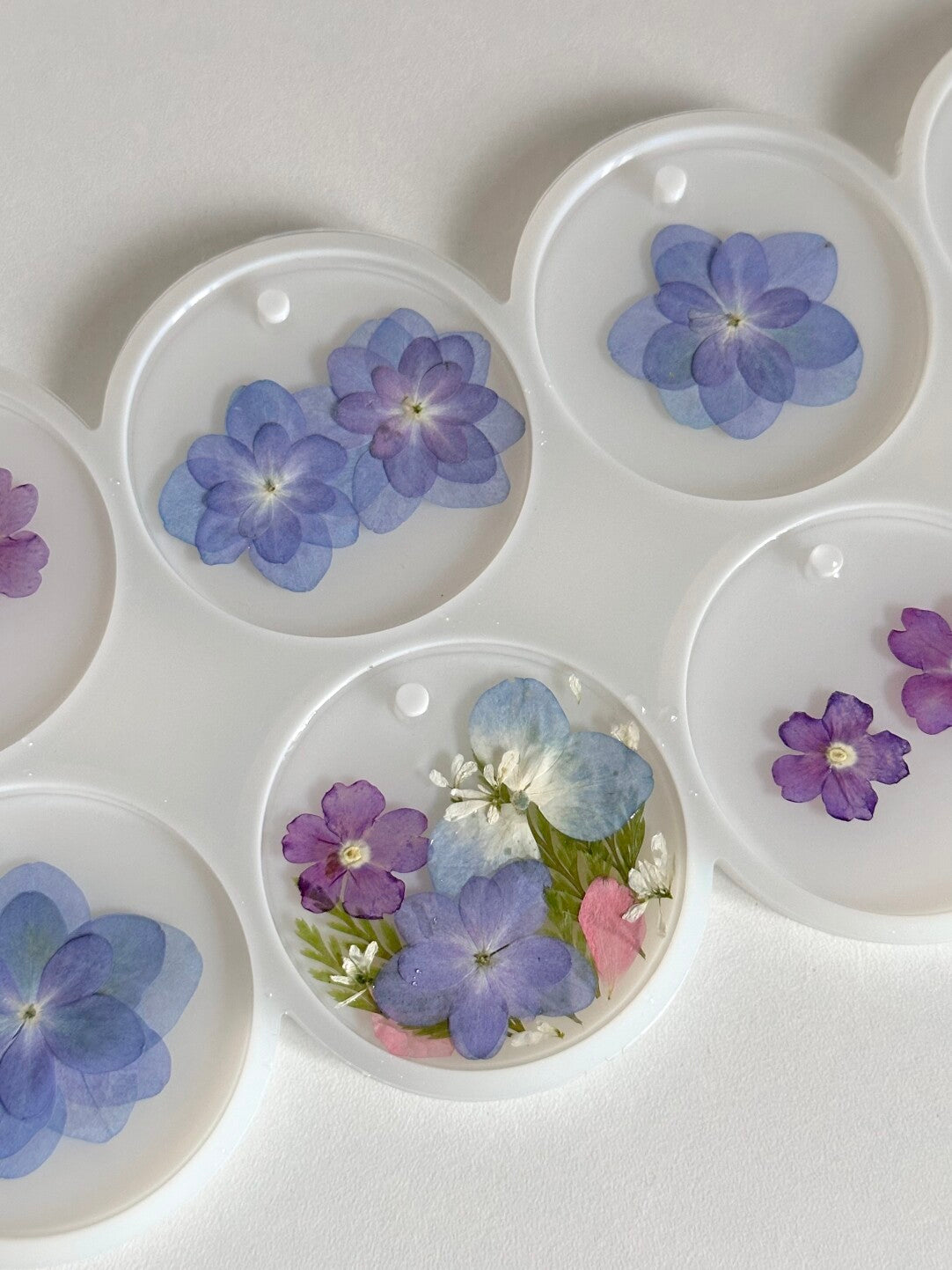 Resin Pressed Flower & Dried Flower Specimen Pendant Keychain Blossom Flower - My Store