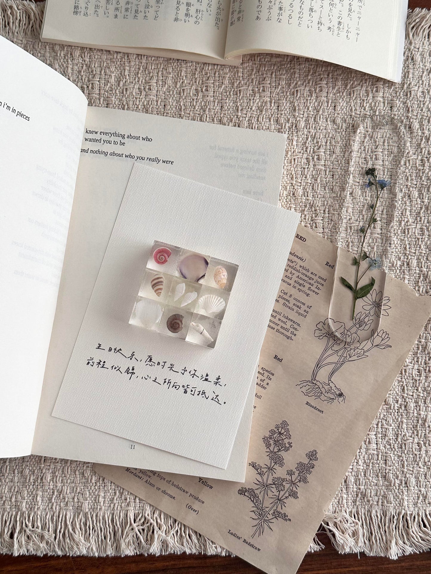 Resin Square Frame with Pressed Flowers & Dried Flower Specimen Customizable Blessing Message - My Store