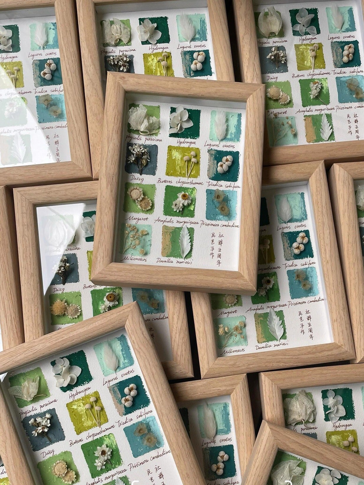 Handmade Oil Pastel Botanical Frame Artwork with Real Plant Specimen - My Store