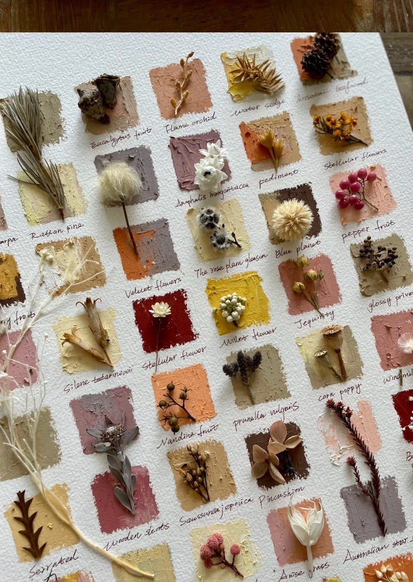 Original Botanical Dried Flower Frame Drawing with Oil Pastel - My Store