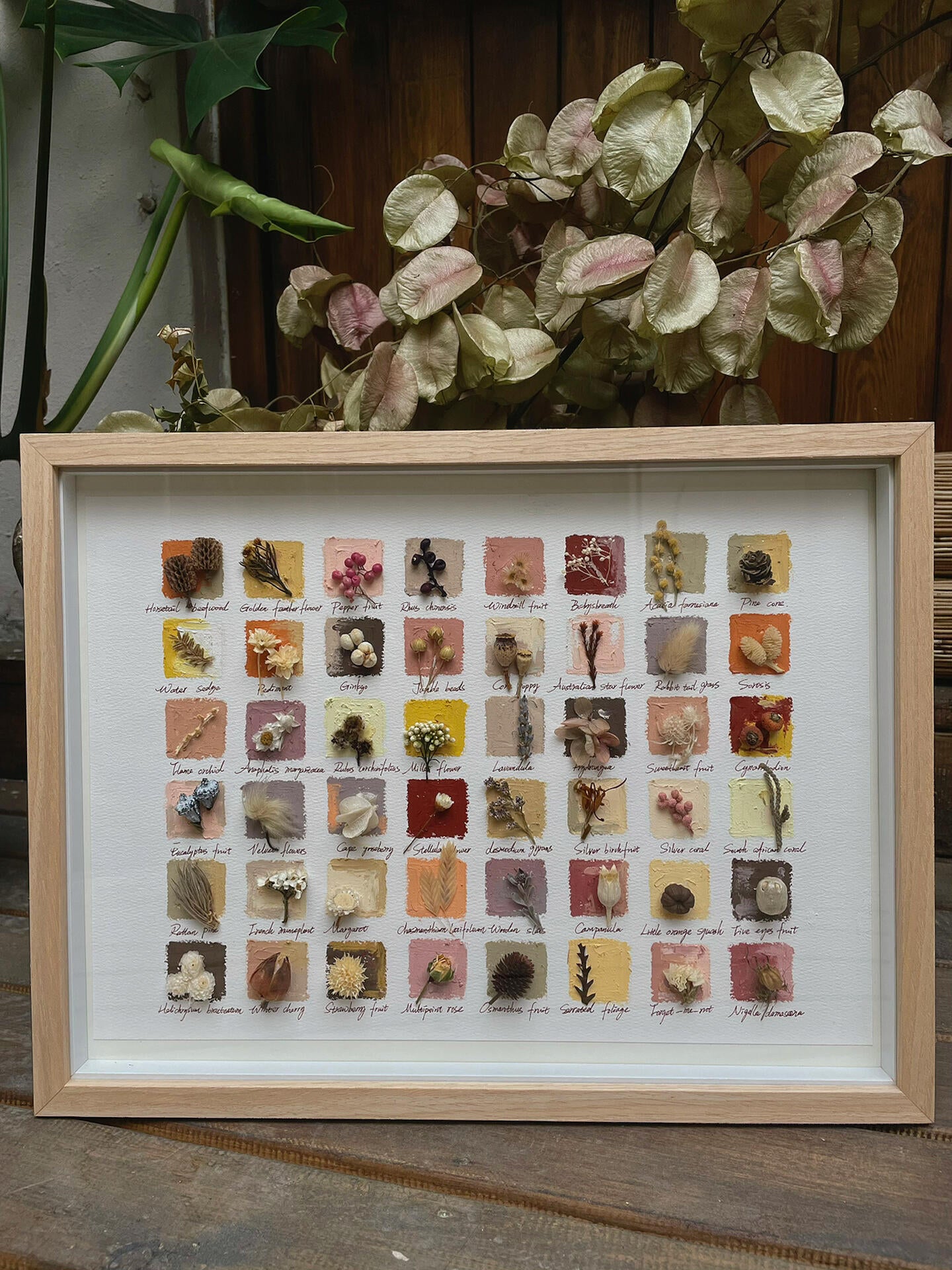 Original Botanical Dried Flower Frame Drawing with Oil Pastel in Earth Tones – 16 Inches - My Store