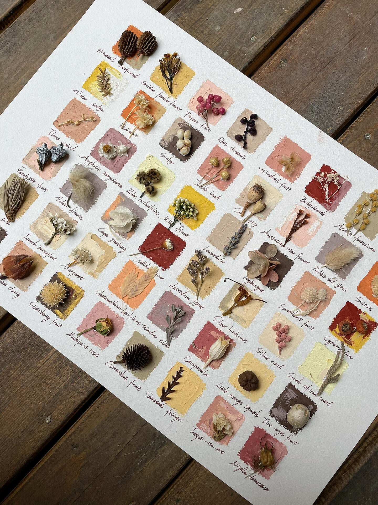 Original Botanical Dried Flower Frame Drawing with Oil Pastel in Earth Tones – 16 Inches - My Store