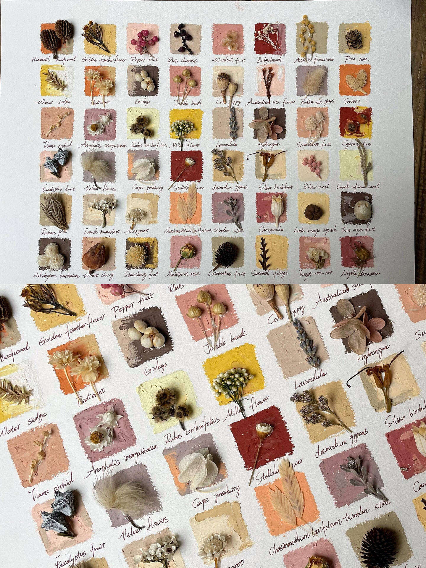 Original Botanical Dried Flower Frame Drawing with Oil Pastel in Earth Tones – 16 Inches - My Store