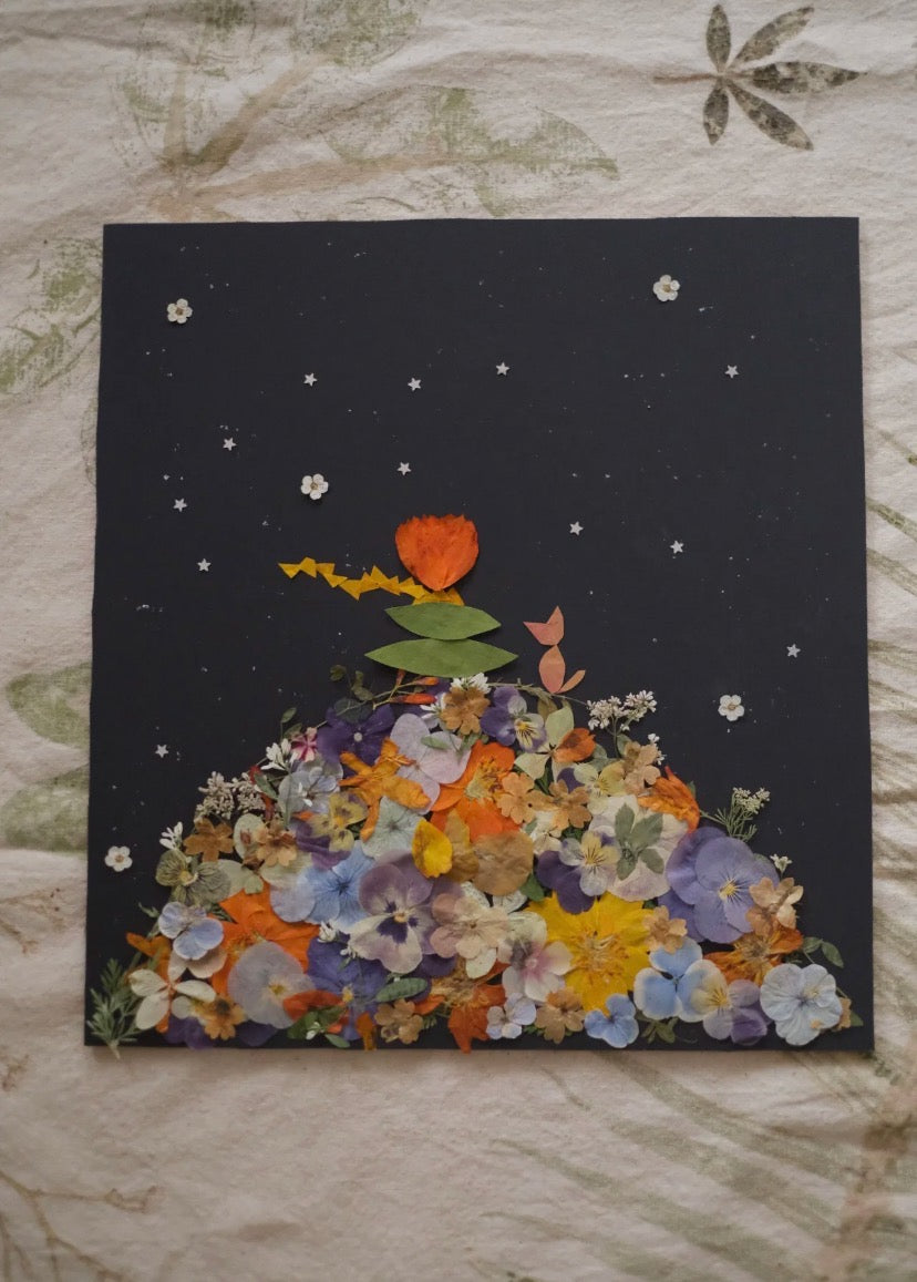 Original Handmade Pressed Flower Plant Frame – Custom Name and Blessing, 32x34cm, The Little Prince Theme, Birthday Gift - My Store